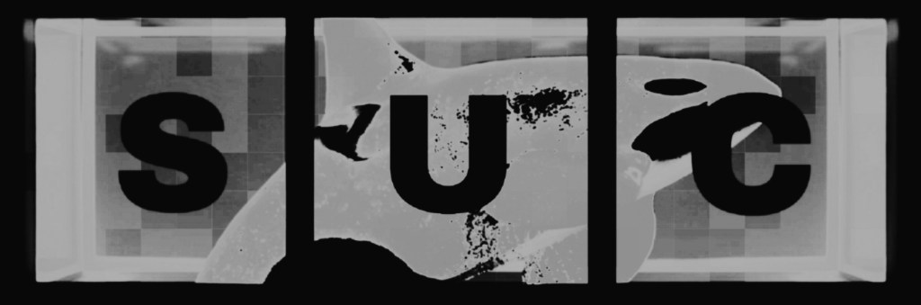 Suc | I’m With You (Poetry by&nbsp;Cavelight)